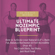 NO-Zempic Blueprint cover [ag1-refresh]